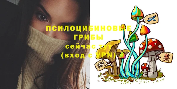 прущий лед Алзамай
