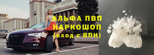прущий лед Алзамай